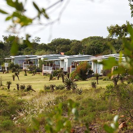 Stoneyvale Cottages Grahamstown Exteriör bild