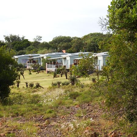 Stoneyvale Cottages Grahamstown Exteriör bild