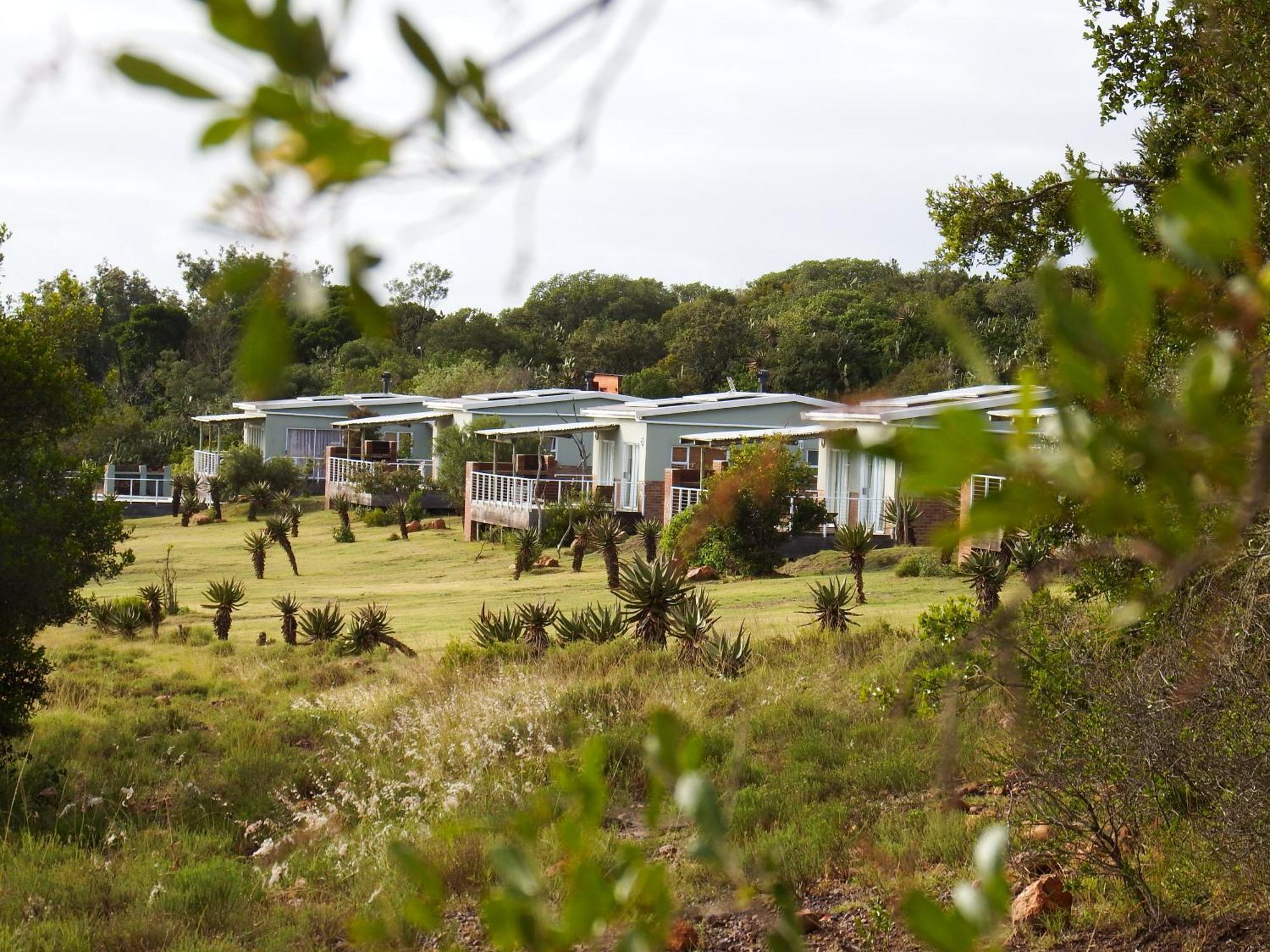 Stoneyvale Cottages Grahamstown Exteriör bild