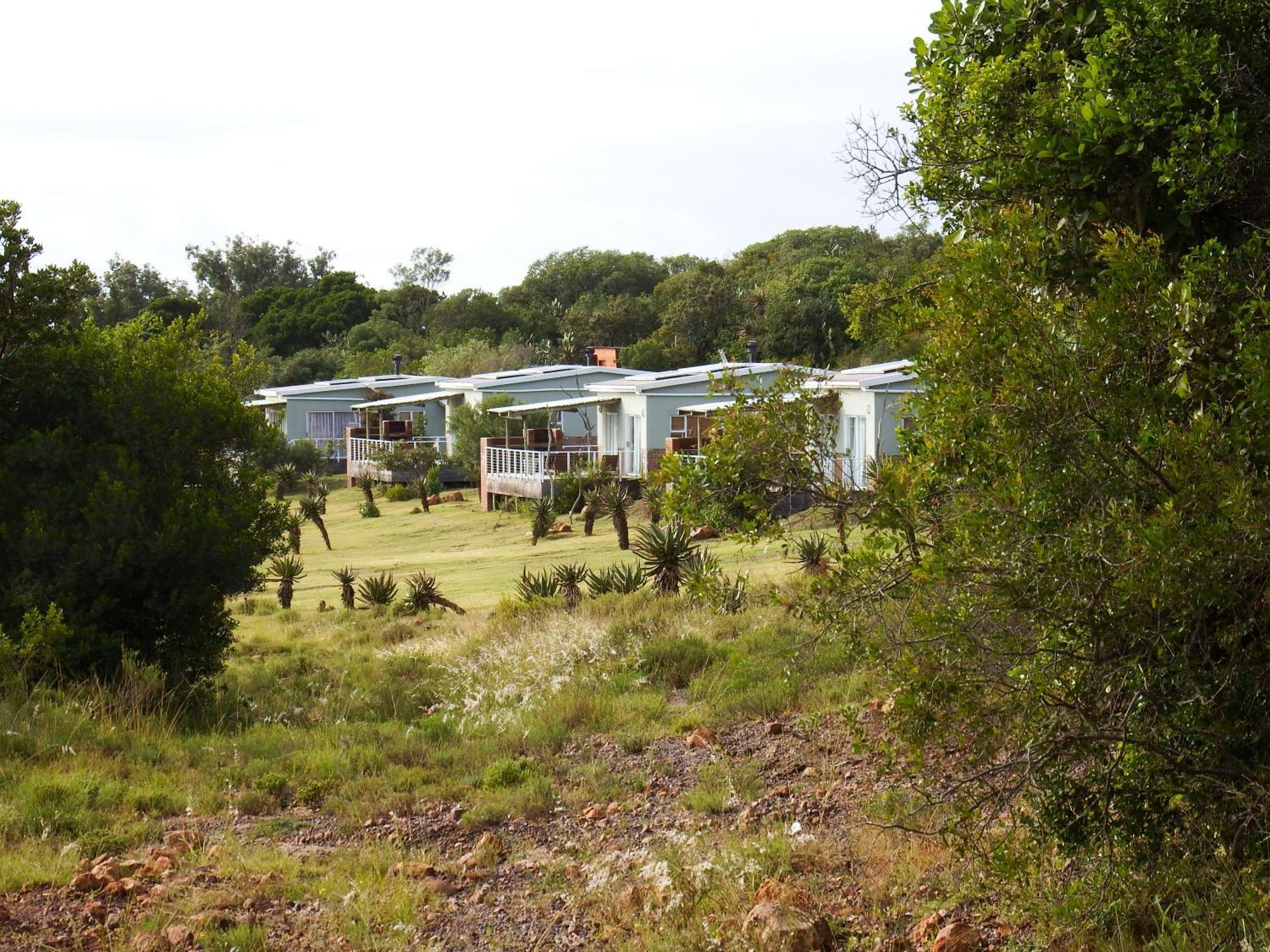 Stoneyvale Cottages Grahamstown Exteriör bild